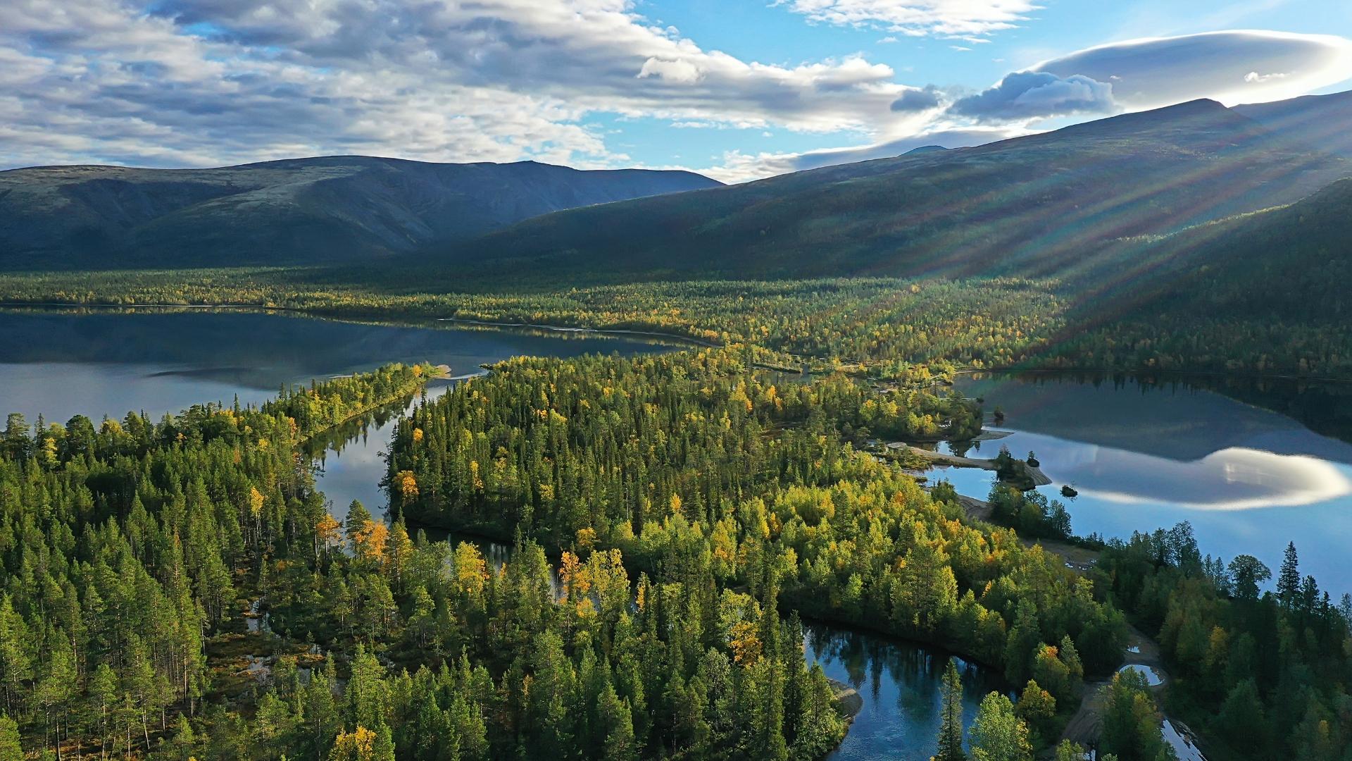 Bild på skog, sjö och berg.
